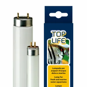 Éclairage pour aquarium ferplast toplife 24w lumière du jour au néon rehausse les couleurs